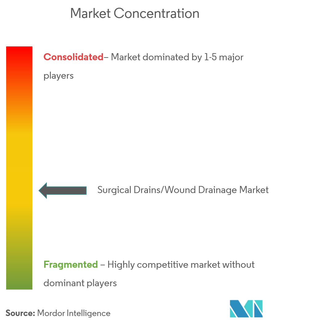 B. Braun, Cardinal Health, ConvaTec Inc., Cook Medical, Degania Silicone Ltd., Ethicon US, LLC, McKesson Medical-Surgic Inc., Poly Medicure Limited, Romsons